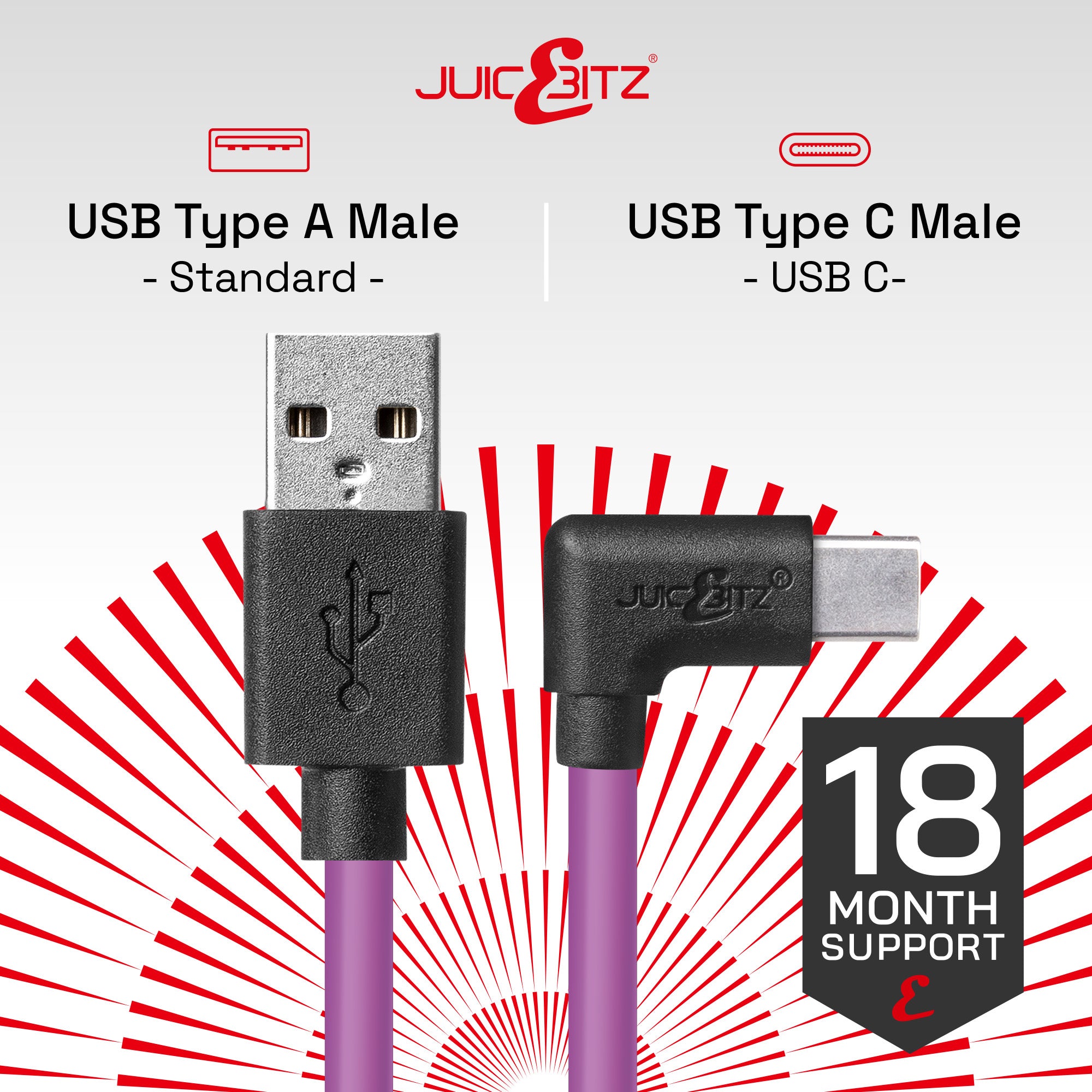 USB 2.0 Male to Angled USB-C 3A Fast Charger Data Cable - Purple