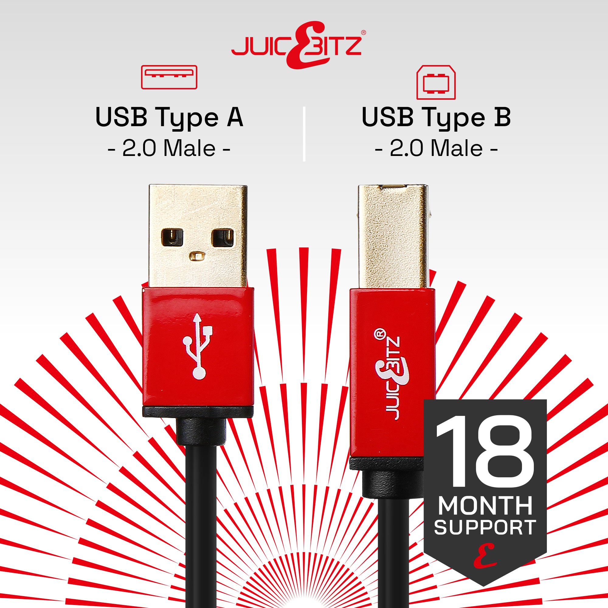 Premium USB 2.0 Male to Type-B Shielded (Printer Scanner) Cable